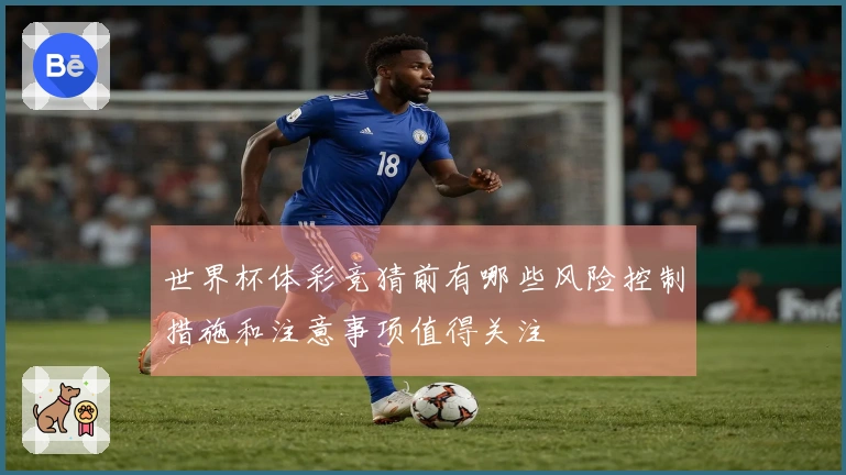 世界杯体彩竞猜前有哪些风险控制措施和注意事项值得关注