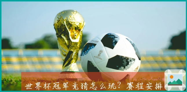世界杯冠军竞猜怎么玩？赛程安排下的正规下注入口指南