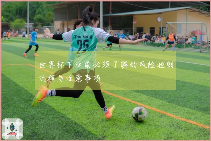 世界杯下注前必须了解的风险控制流程与注意事项