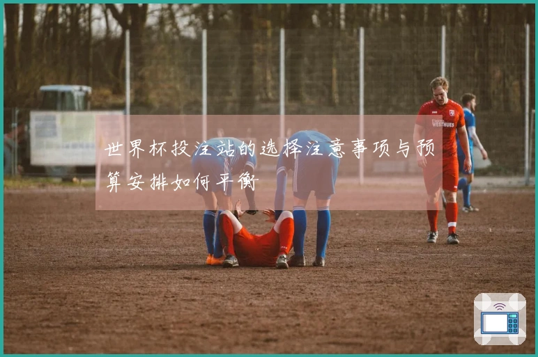 世界杯投注站的选择注意事项与预算安排如何平衡