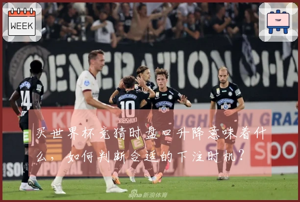 买世界杯竞猜时盘口升降意味着什么，如何判断合适的下注时机？