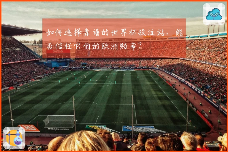如何选择靠谱的世界杯投注站，能否信任它们的欧洲赔率？