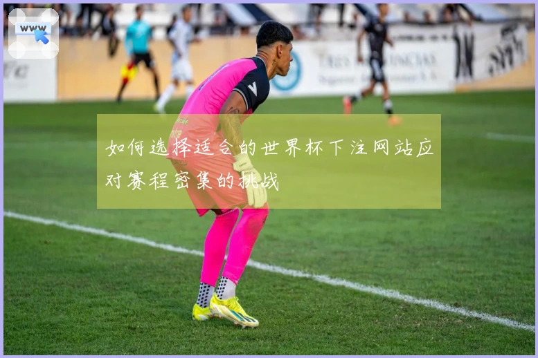 如何选择适合的世界杯下注网站应对赛程密集的挑战