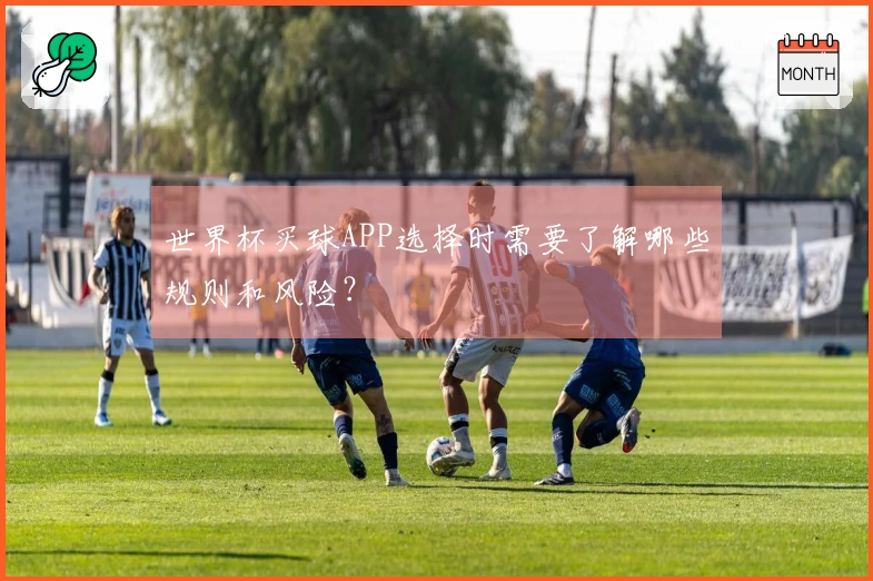 世界杯买球APP选择时需要了解哪些规则和风险？