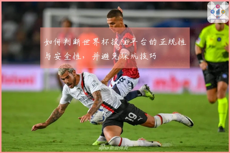 如何判断世界杯投注平台的正规性与安全性，并避免踩坑技巧