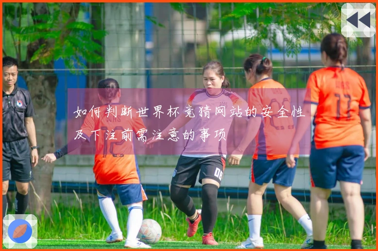 如何判断世界杯竞猜网站的安全性及下注前需注意的事项