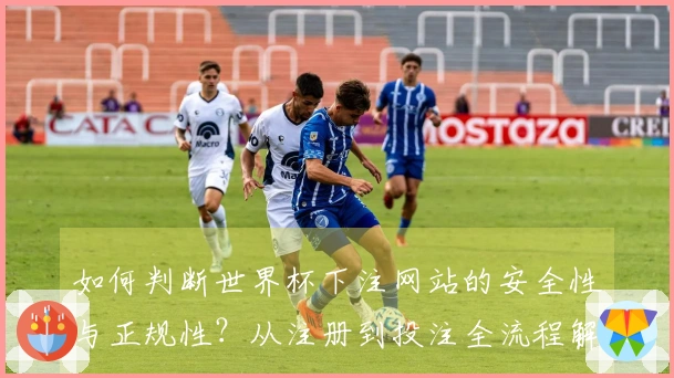 如何判断世界杯下注网站的安全性与正规性？从注册到投注全流程解析
