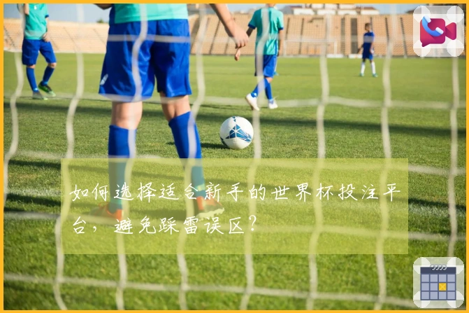 如何选择适合新手的世界杯投注平台，避免踩雷误区？