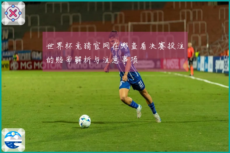 世界杯竞猜官网在哪查看决赛投注的赔率解析与注意事项