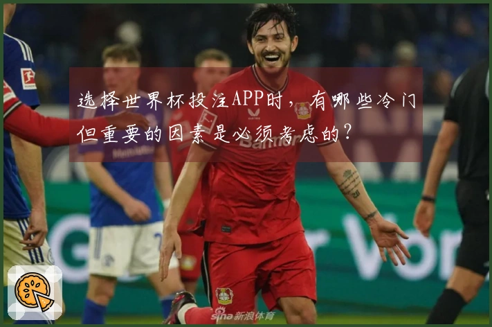 选择世界杯投注APP时，有哪些冷门但重要的因素是必须考虑的？
