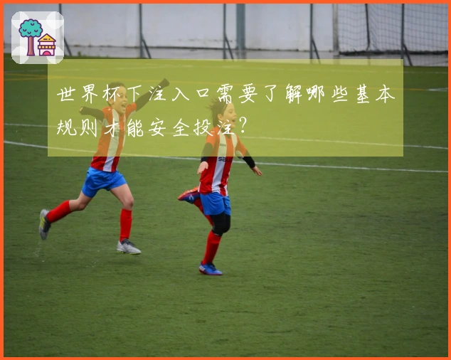 世界杯下注入口需要了解哪些基本规则才能安全投注？
