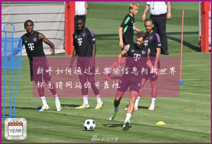 新手如何通过主客场信息判断世界杯竞猜网站的可靠性