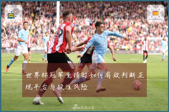 世界杯冠军竞猜时如何有效判断正规平台与投注风险