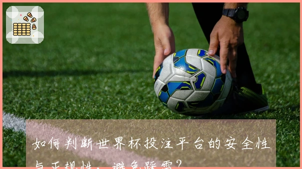 如何判断世界杯投注平台的安全性与正规性，避免踩雷？