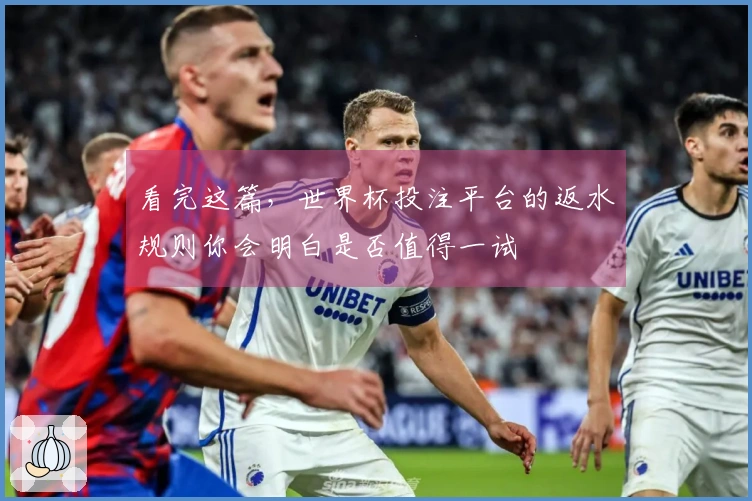 看完这篇，世界杯投注平台的返水规则你会明白是否值得一试