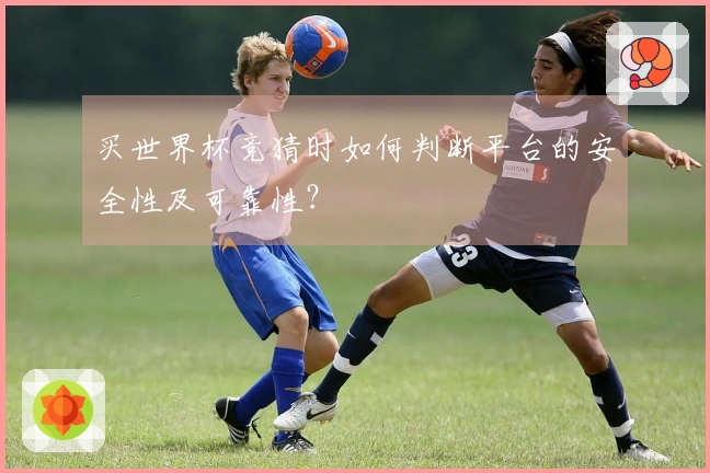 买世界杯竞猜时如何判断平台的安全性及可靠性？