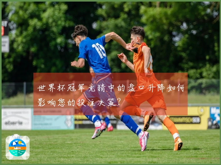 世界杯冠军竞猜中的盘口升降如何影响您的投注决策？