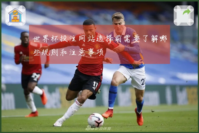 世界杯投注网站选择前需要了解哪些规则和注意事项