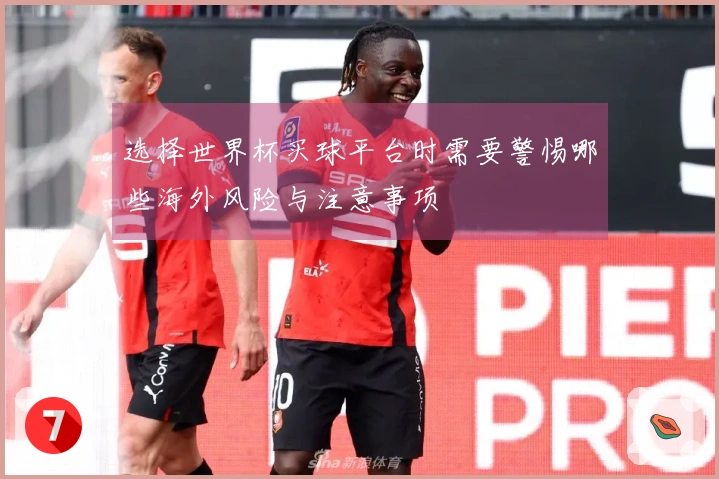 选择世界杯买球平台时需要警惕哪些海外风险与注意事项