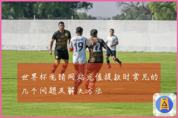 世界杯竞猜网站充值提款时常见的几个问题及解决方法