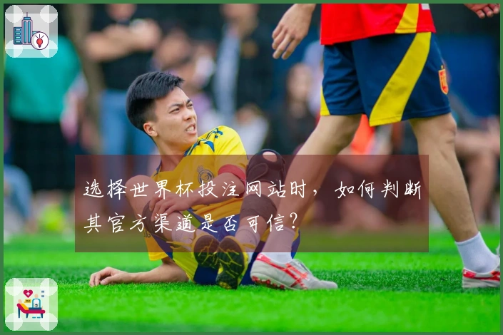 选择世界杯投注网站时，如何判断其官方渠道是否可信？