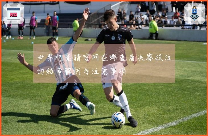 世界杯竞猜官网在哪查看决赛投注的赔率解析与注意事项