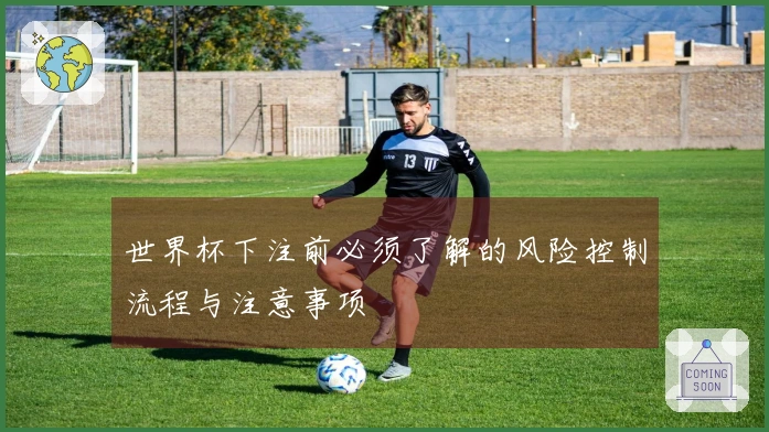 世界杯下注前必须了解的风险控制流程与注意事项