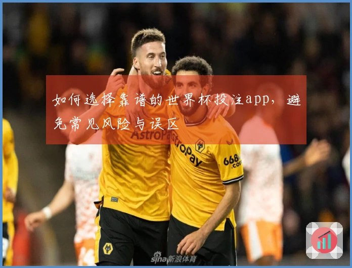 如何选择靠谱的世界杯投注app，避免常见风险与误区