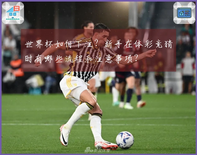世界杯如何下注？新手在体彩竞猜时有哪些流程和注意事项？