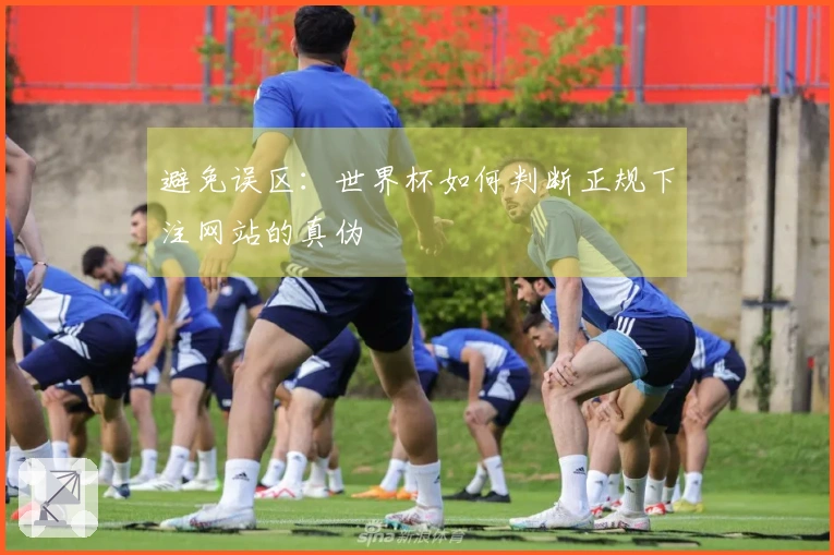 避免误区：世界杯如何判断正规下注网站的真伪