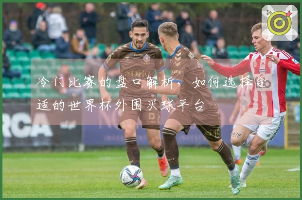 冷门比赛的盘口解析，如何选择合适的世界杯外围买球平台