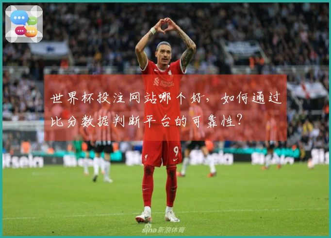 世界杯投注网站哪个好,如何通过比分数据判断平台的可靠性?