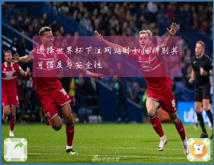 选择世界杯下注网站时如何辨别其可信度与安全性