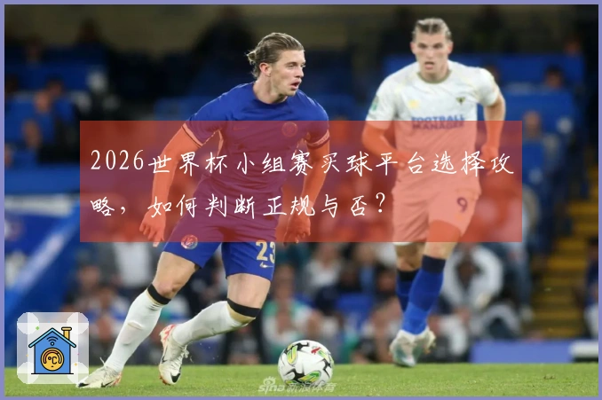 2026世界杯小组赛买球平台选择攻略,如何判断正规与否?