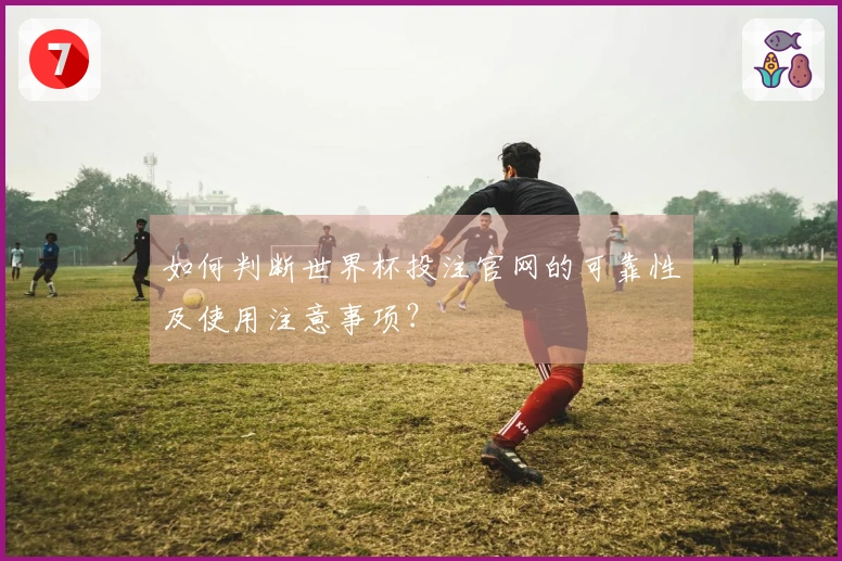 如何判断世界杯投注官网的可靠性及使用注意事项?