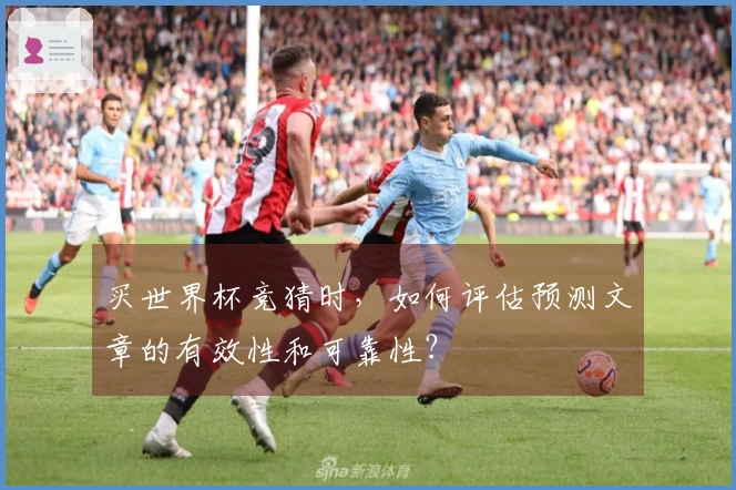 买世界杯竞猜时，如何评估预测文章的有效性和可靠性？