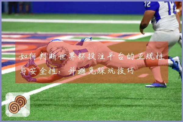 如何判断世界杯投注平台的正规性与安全性,并避免踩坑技巧