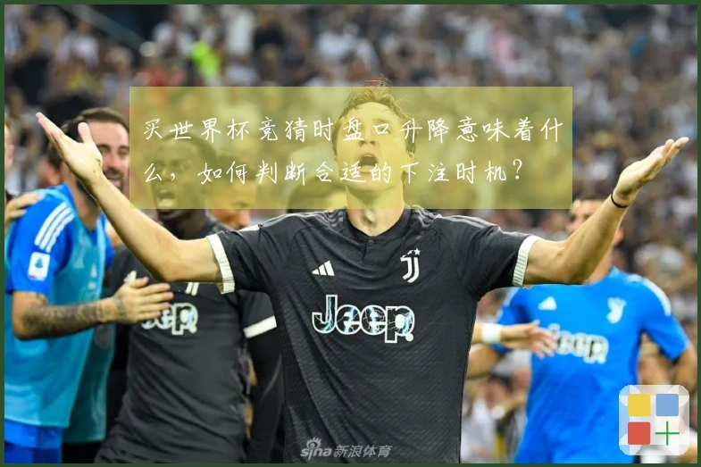 买世界杯竞猜时盘口升降意味着什么，如何判断合适的下注时机？