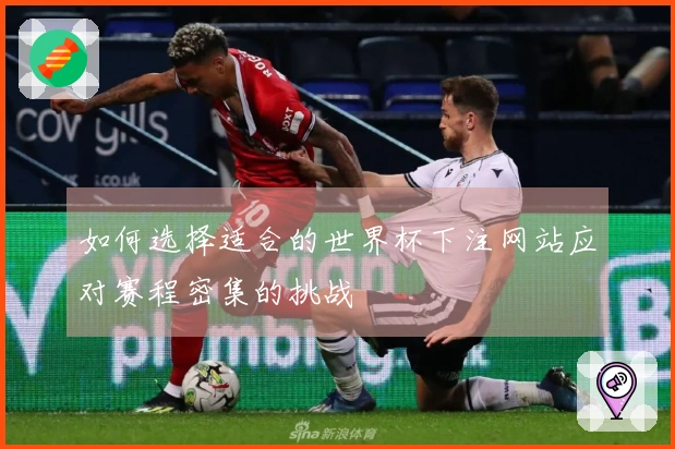 如何选择适合的世界杯下注网站应对赛程密集的挑战