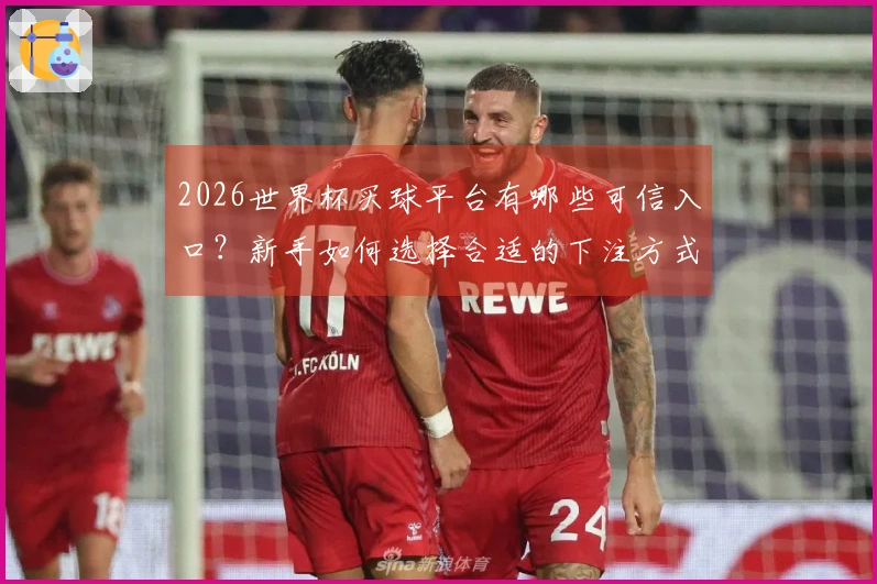 2026世界杯买球平台有哪些可信入口？新手如何选择合适的下注方式？