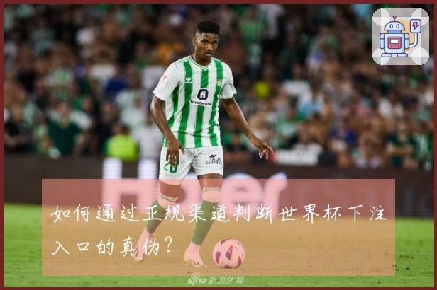 如何通过正规渠道判断世界杯下注入口的真伪？
