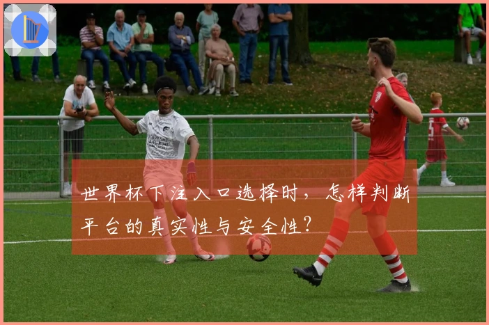 世界杯下注入口选择时，怎样判断平台的真实性与安全性？
