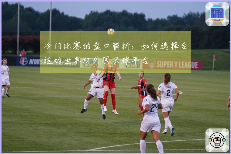 冷门比赛的盘口解析，如何选择合适的世界杯外围买球平台