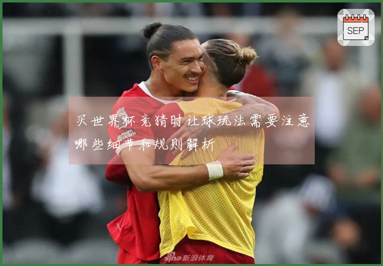买世界杯竞猜时让球玩法需要注意哪些细节和规则解析