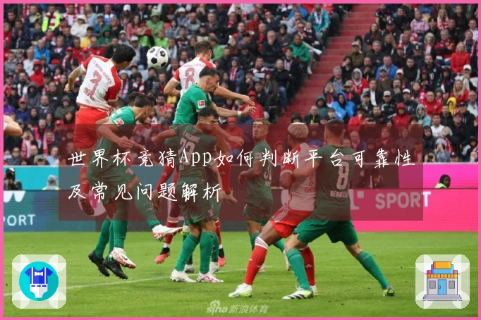 世界杯竞猜App如何判断平台可靠性及常见问题解析